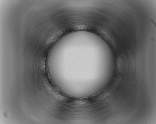 X0000103310545200809122054