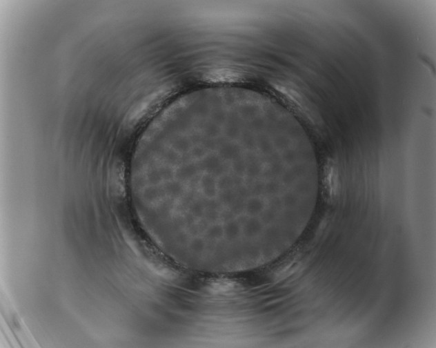 X0000103310547200809122054