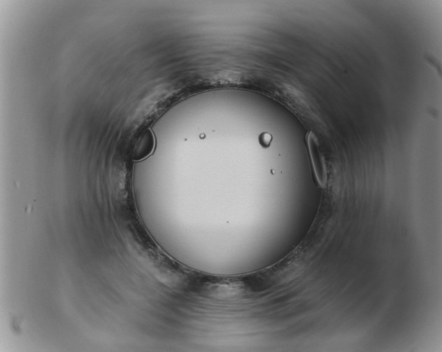 X0000103310548200809122054