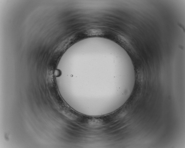 X0000103310549200809122054