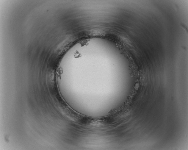 X0000103310550200809122054