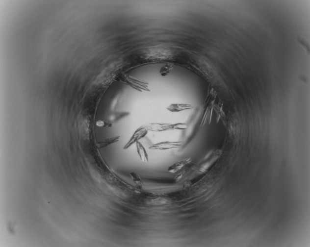 X0000103310551200809122054