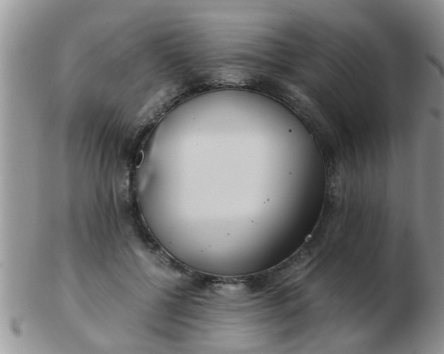 X0000103310552200809122054