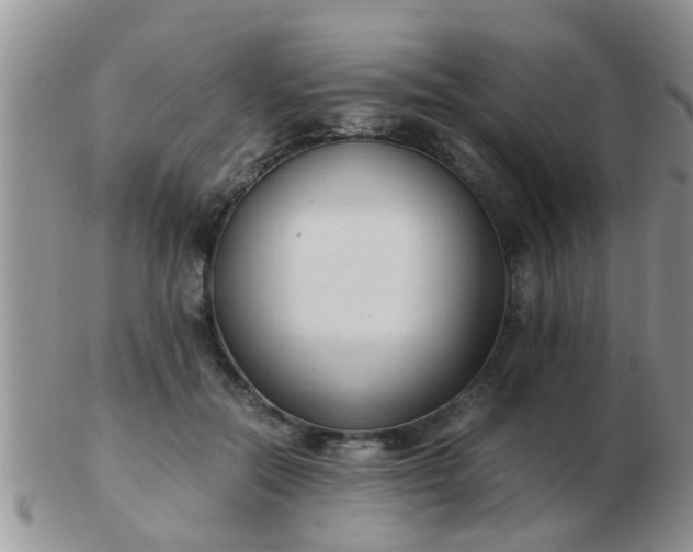 X0000103310554200809122054