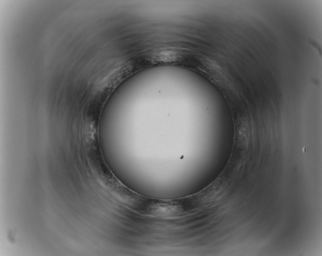 X0000103310555200809122054