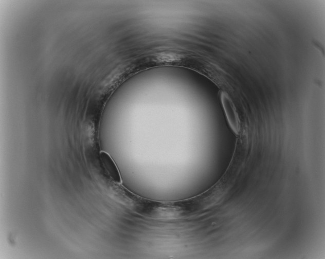 X0000103310556200809122054