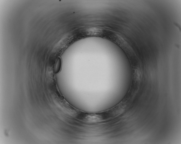 X0000103310557200809122054