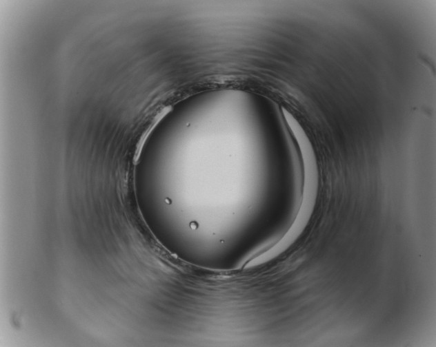 X0000103310558200809122054