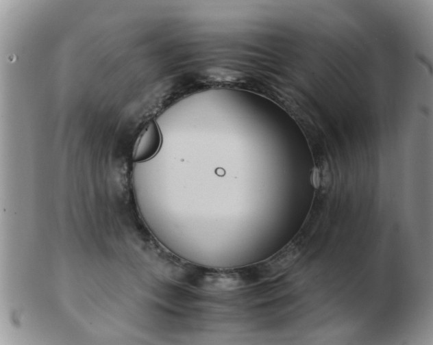 X0000103310559200809122054