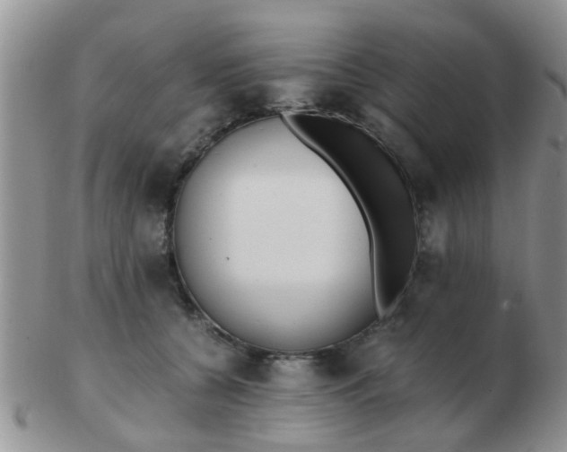 X0000103310560200809122054