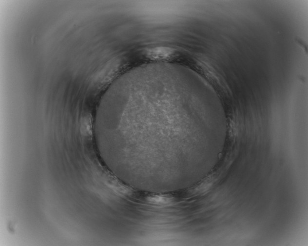 X0000103310561200809122054