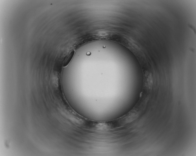 X0000103310562200809122054