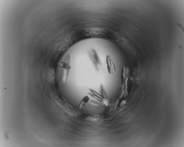 X0000103310563200809122054