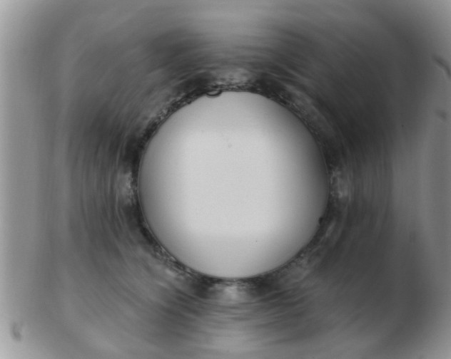 X0000103310564200809122054