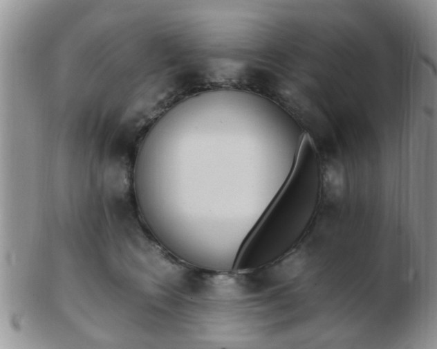 X0000103310566200809122054