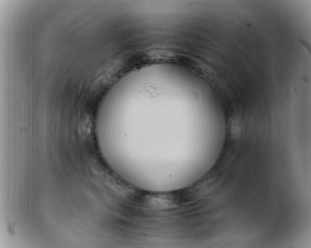 X0000103310567200809122054