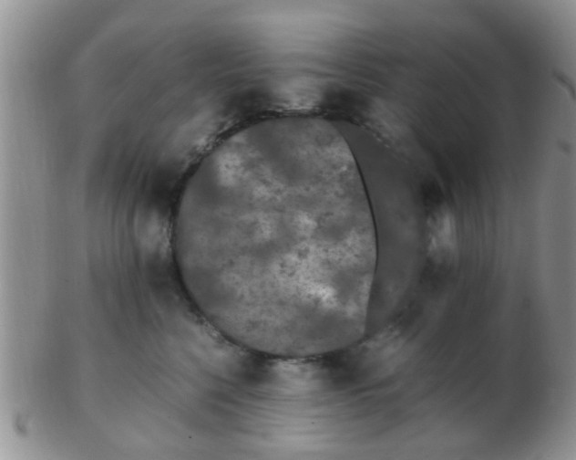 X0000103310568200809122054