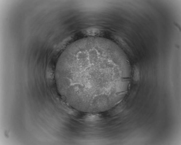X0000103310569200809122054