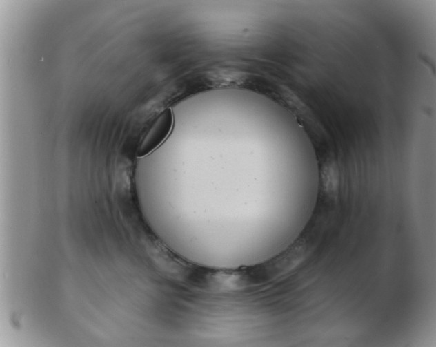 X0000103310570200809122054