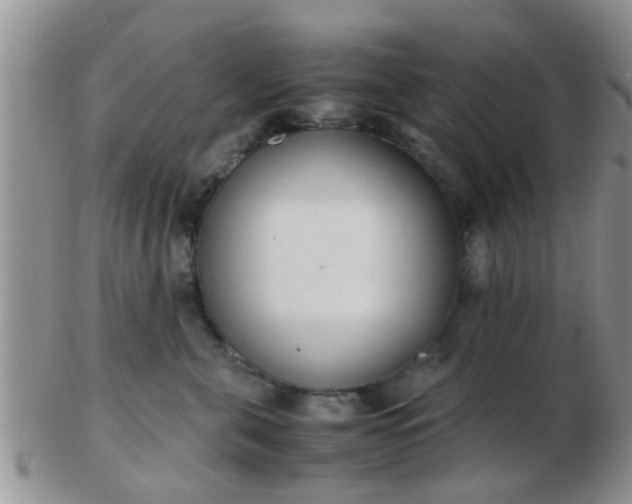 X0000103310571200809122054
