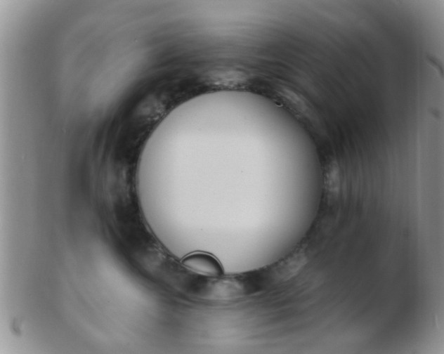 X0000103310572200809122054