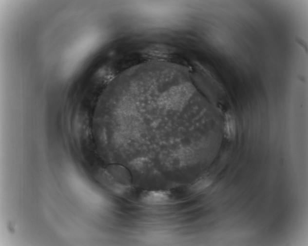 X0000103310573200809122054