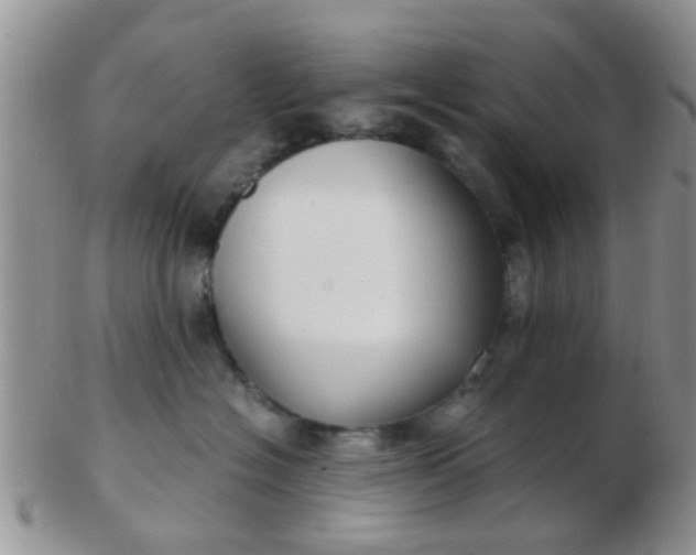 X0000103310574200809122054