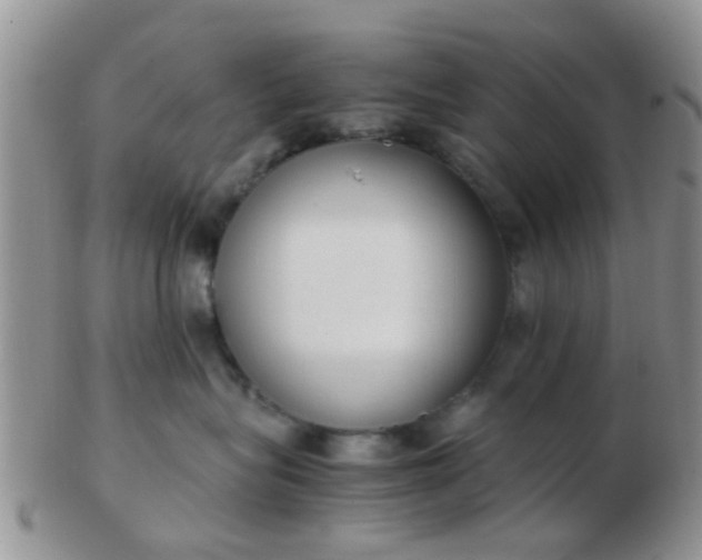 X0000103310575200809122054