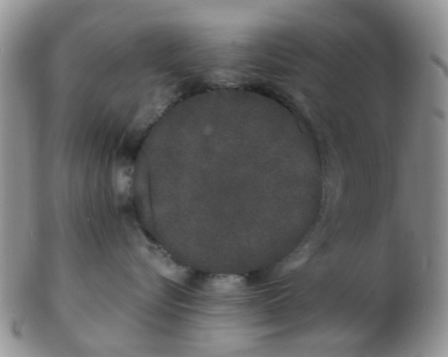 X0000103310576200809122054