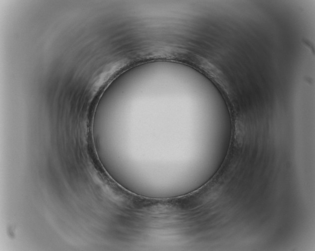 X0000103310578200809122053