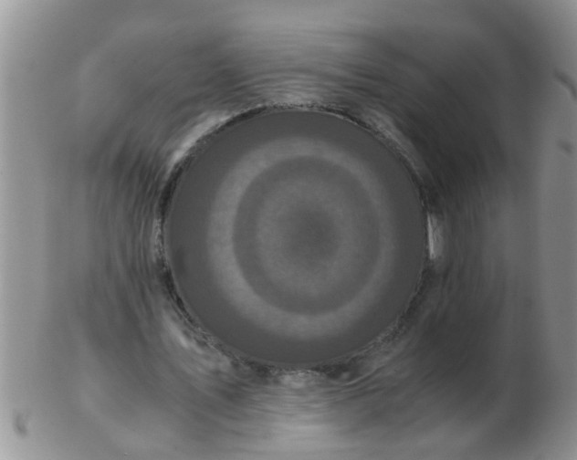 X0000103310579200809122053