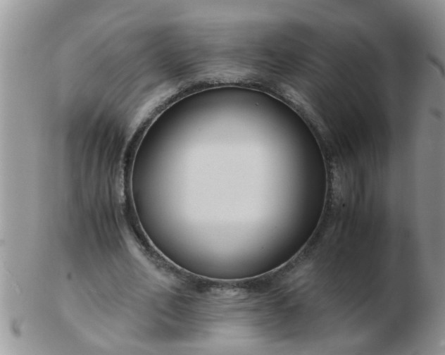 X0000103310582200809122053