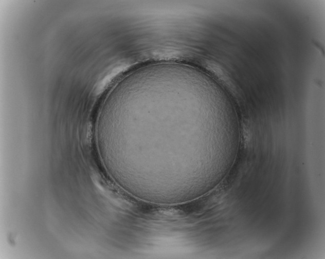 X0000103310583200809122053