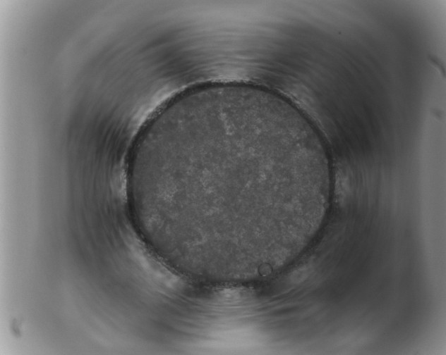 X0000103310584200809122053