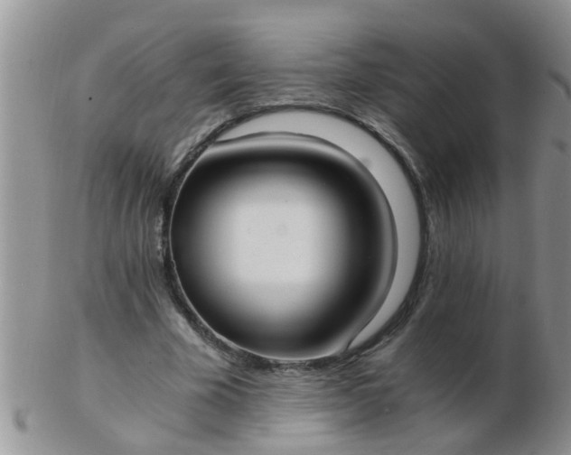 X0000103310585200809122053