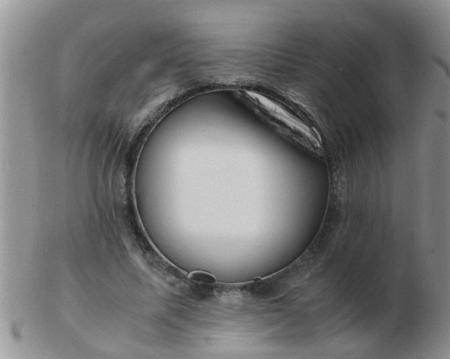 X0000103310587200809122053
