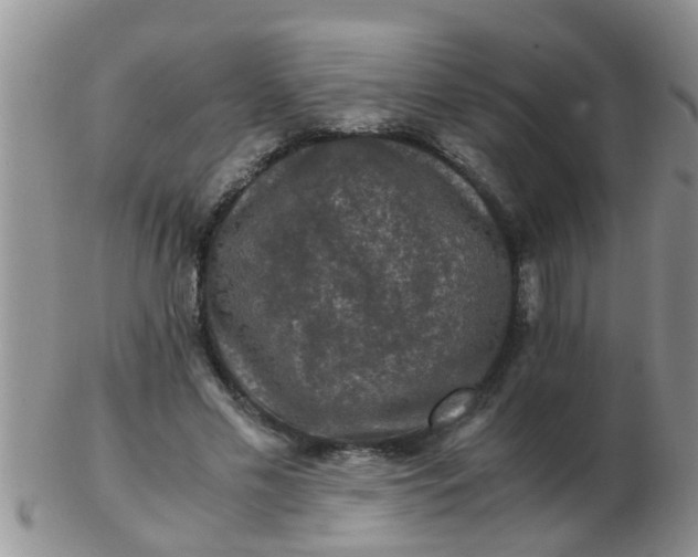 X0000103310589200809122053