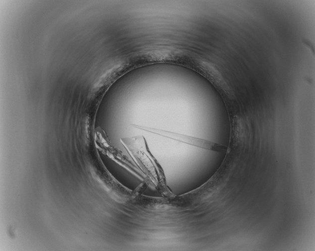 X0000103310590200809122053