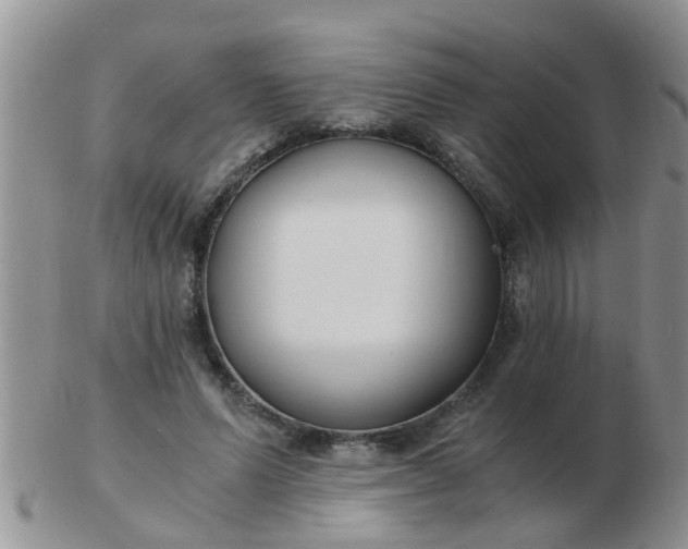 X0000103310591200809122053