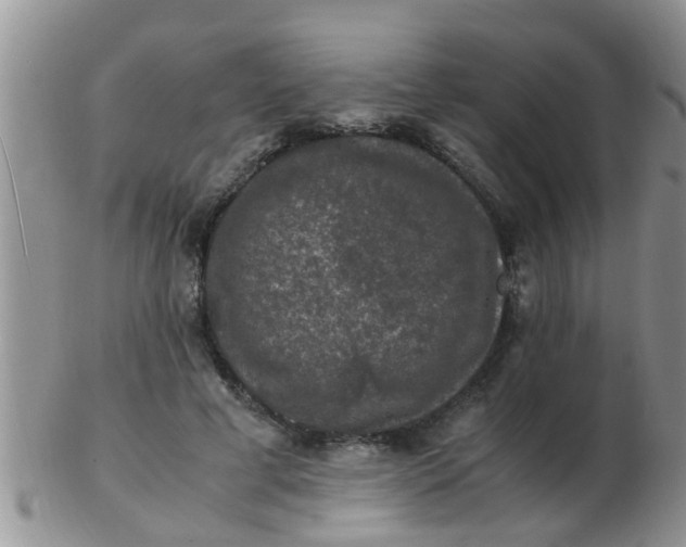 X0000103310593200809122053