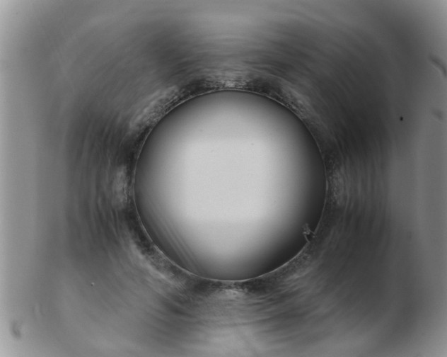 X0000103310594200809122053