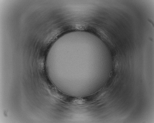 X0000103310595200809122053