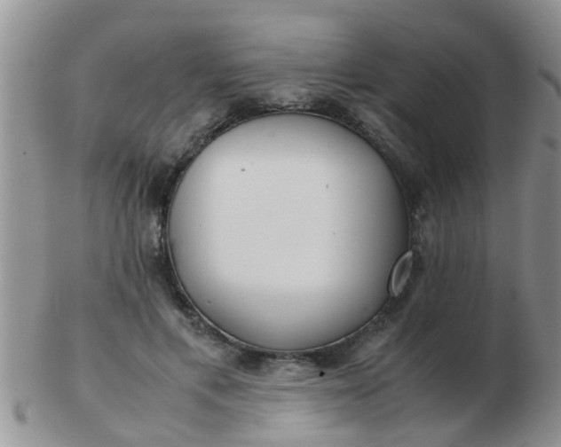 X0000103310597200809122053