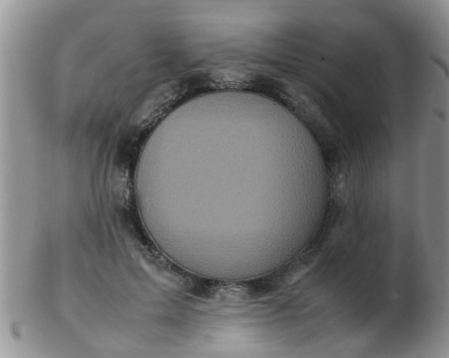 X0000103310599200809122053