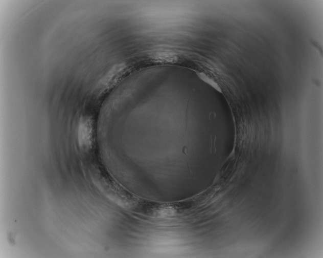 X0000103310600200809122053