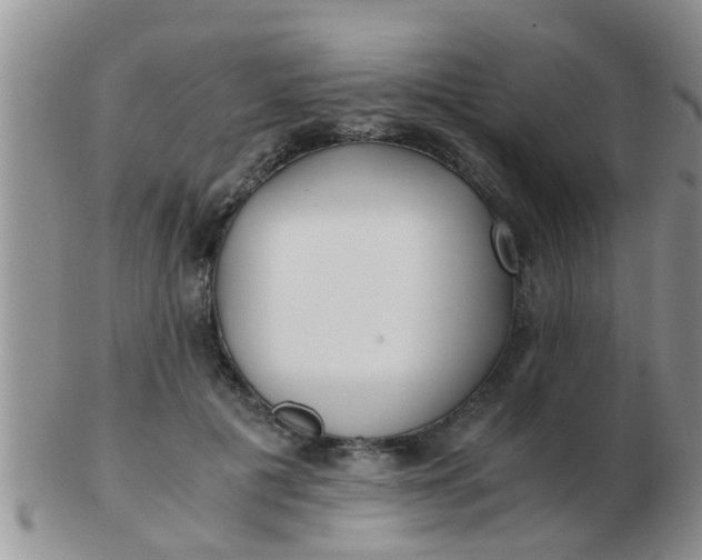 X0000103310601200809122053