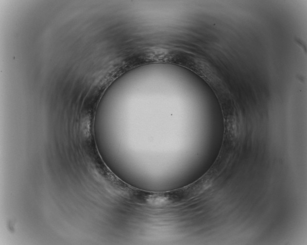 X0000103310602200809122053