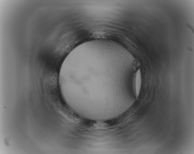 X0000103310603200809122053
