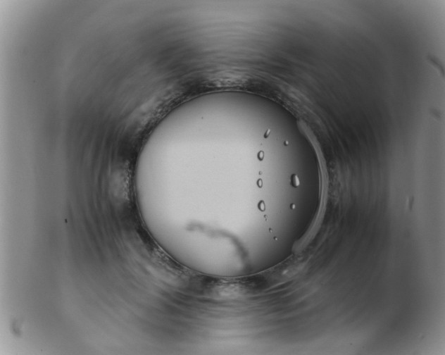 X0000103310604200809122053