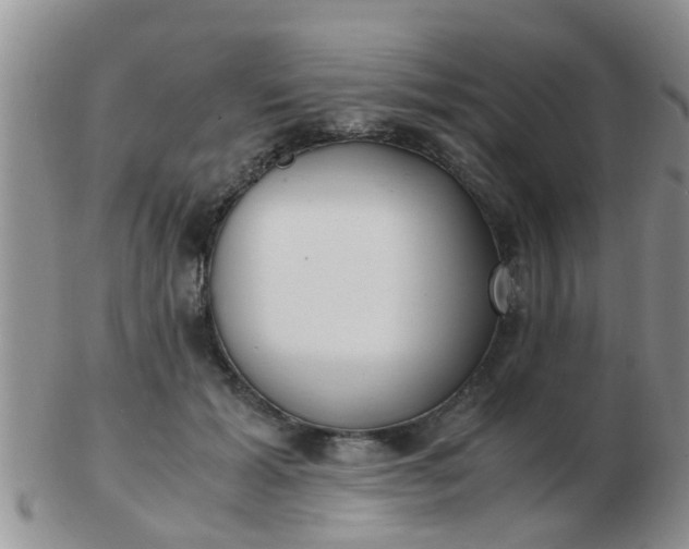 X0000103310605200809122053